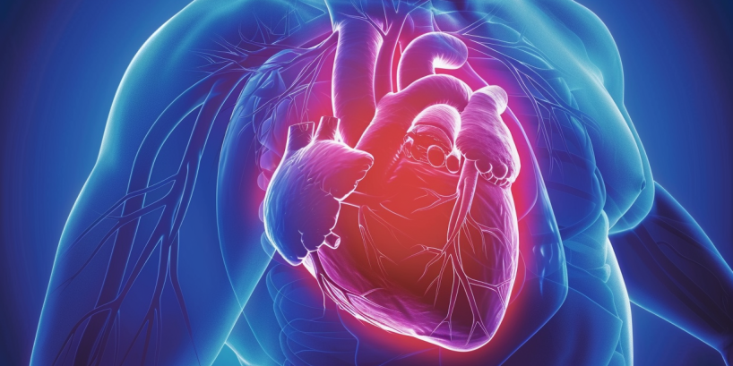Obesity-related heart failure